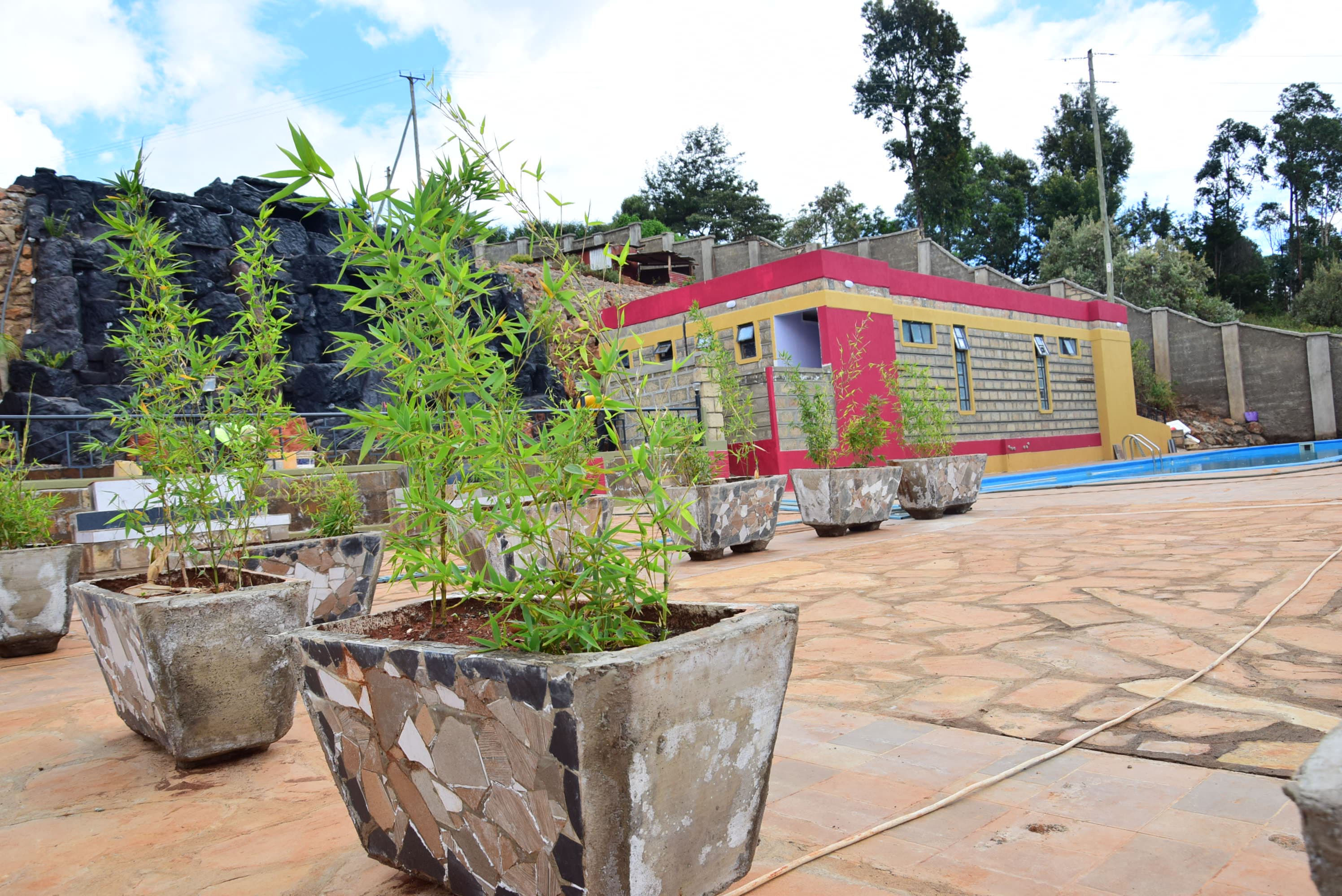 Bamboo planters on the pool terrace, with the pink and yellow poolside building behind.