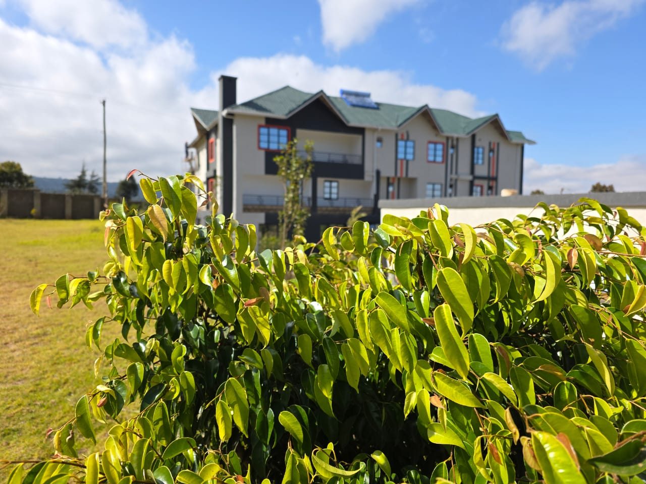 The accommodation block across the lawn, framed by the garden hedge.