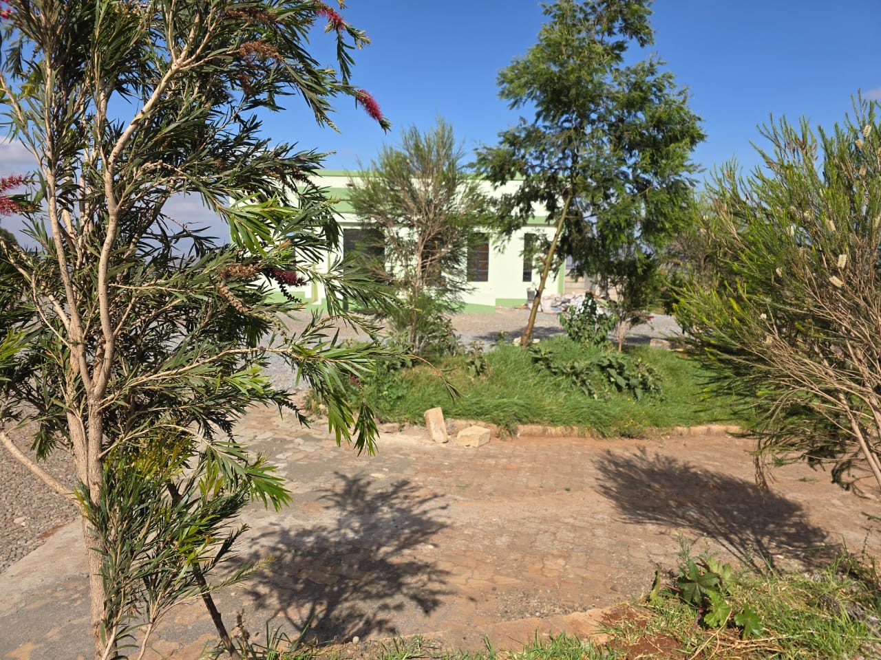 A garden cottage seen through young trees from the paved terrace.